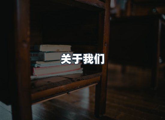 关于我们